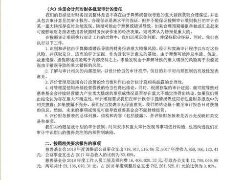 基金会审计报告新闻稿怎么写