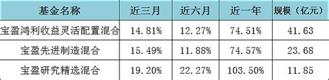 十年基金经理老司机