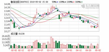 海印股份控股股东增持行动稳定市场信心与未来发展展望