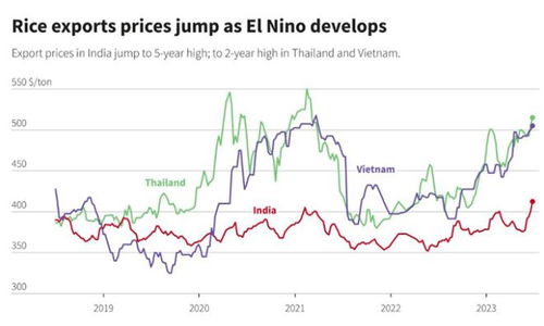 日本部分商家限购大米的背后原因与影响分析