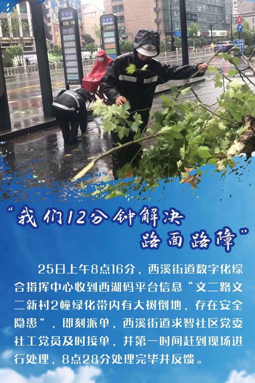 冲锋在前，风雨有我在