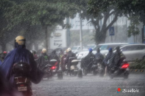 超强暴雨突袭秦皇岛，车辆顺流而下引发的思考