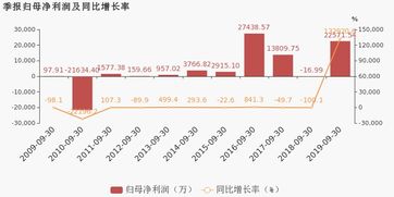 中铝国际发布中期业绩归母净利润亿元同比扭亏为盈