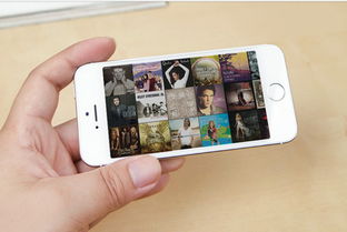 探究苹果iPhone 5S的市场价值，价格与历史见证