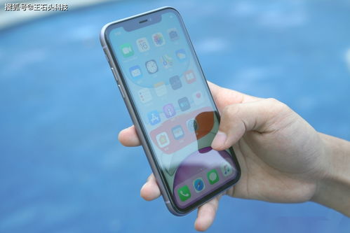 探讨2022年新款苹果iPhone 11的售价与价值，一场科技与价格的艺术对决