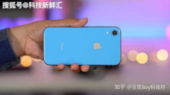 苹果11 VS iPhone XR，全面对比解析，你的选择不再纠结！