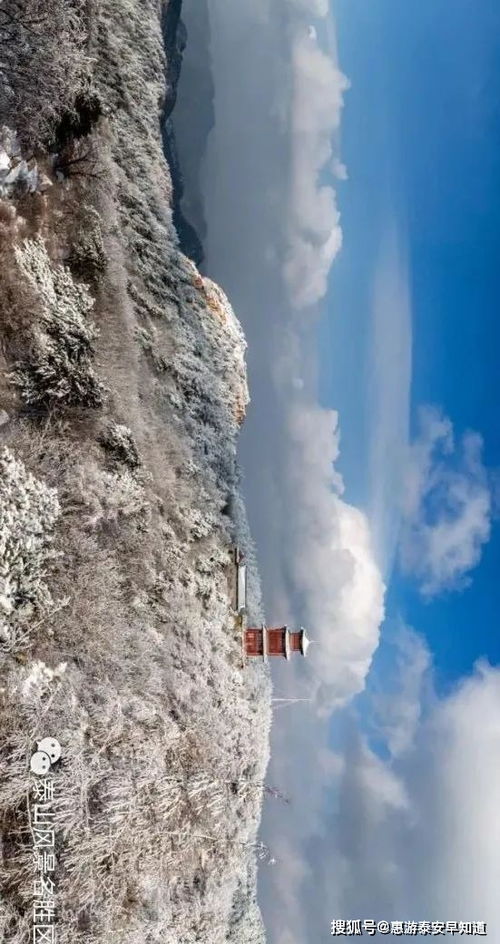 泰山雪深，暴雪降临，山巅成银