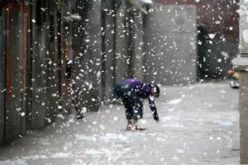 北京飘雪的那些事