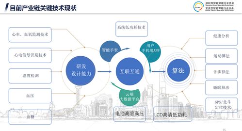 未来消费市场的新篇章，展望明年的总体态势