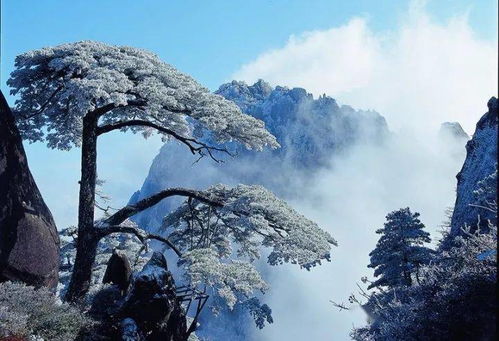 黄山风景区，女性游客的专属福利与旅游新思考