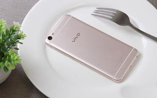 深度解析，Vivo X7的售价与魅力—一款值得拥有的旗舰手机